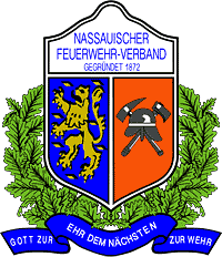logo nfv 200